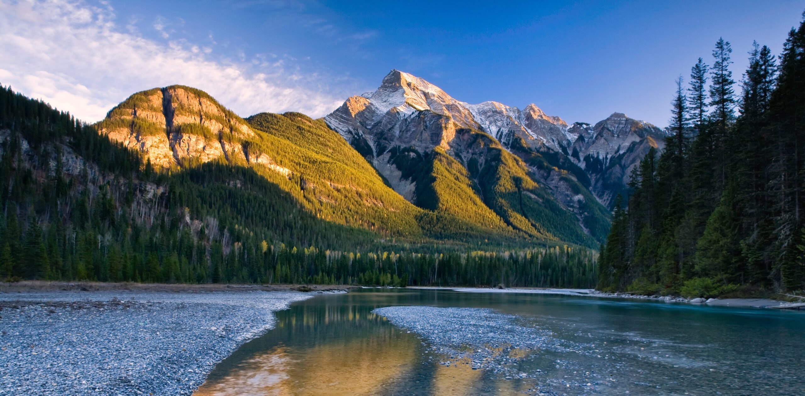 Canadian Multifamily Real Estate Outlook for 2026: Trends and Opportunities