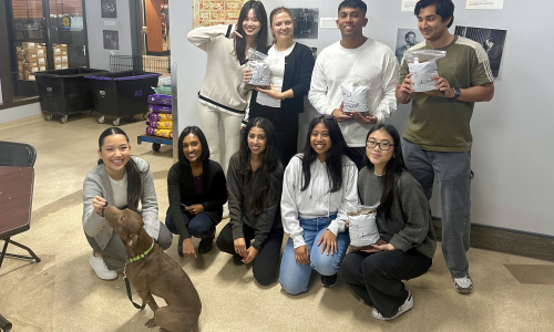 Toronto Humane Society, volunteering to support animal residents
